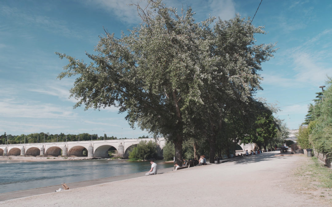 TL – BORDS DE LOIRE 2